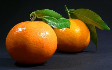 Mousse de Brocciu à la clémentine