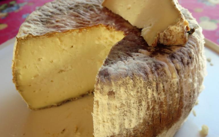 Non les trous dans le fromage Corse ne sont pas une fatalité.